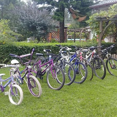 Hosteria Quinta Emilia Κίτο Εξωτερικό φωτογραφία